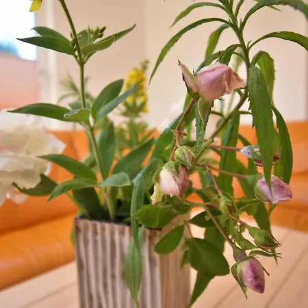 Pansiyon B1 Ferien-bungalow Seewind Ostseebad *