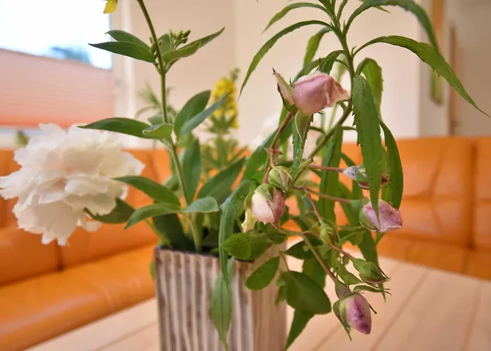 בית אירוח B1 Ferien-bungalow Seewind Ostseebad *